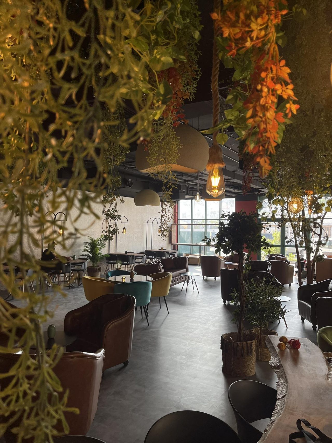 Interior seating under the hanging planting canopy