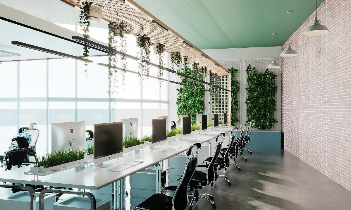 Open studio floor with bench desking and glazed meeting rooms